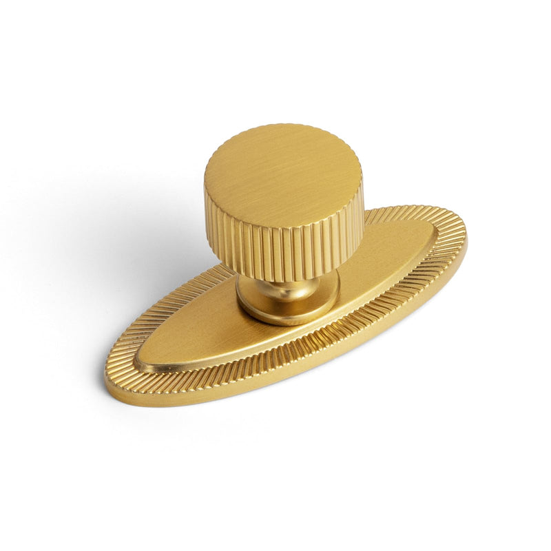 Goo-Ki Brushed Gold Zinc Alloy Cabinet Knob with Backplate - Single Hole Center Cabinet Pull Hardware for Bedroom, Kitchen, 2 Pack（9596-E）