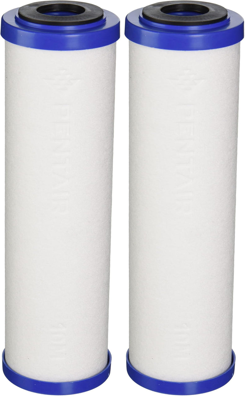 Pentek 655130-43 Sediment/Carbon Filter (Pack of 2) 2.5X9-3/4" (Pack of 2)