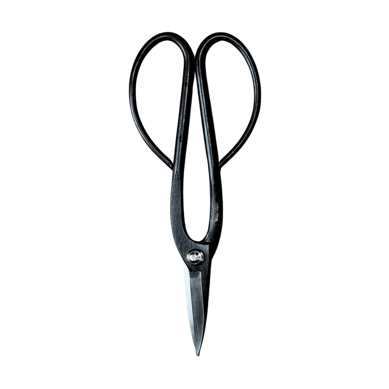 Bonsai Scissors Asinaga 7.9" (20 cm) Japanese Pruning Shears - Tree Care & Gardening tools