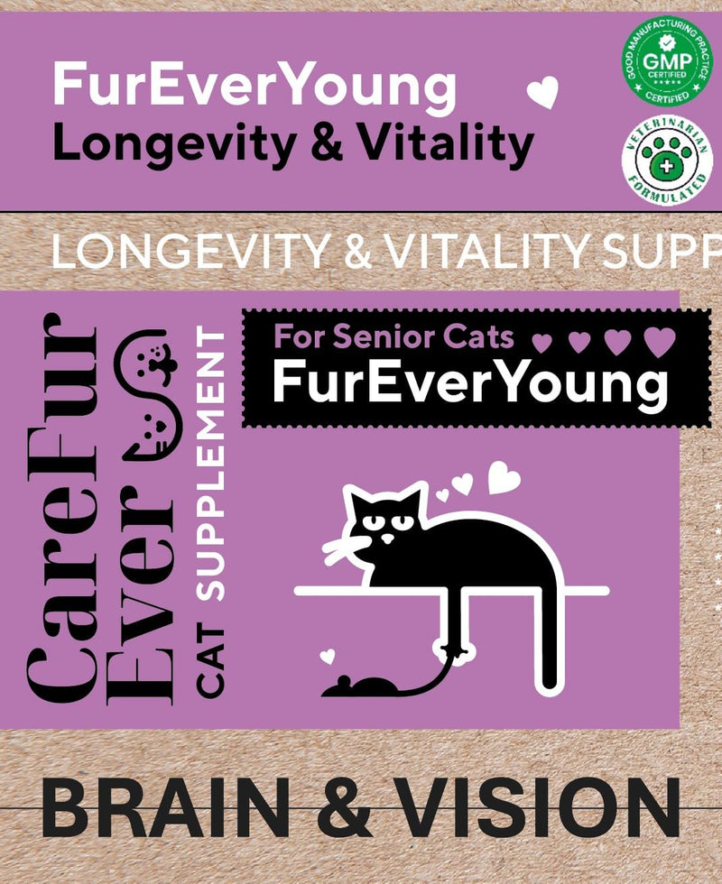 Supplement Treats for Senior Cats ~ Cognitive Support | Premium Feline Longevity Stack | Lion's Mane Mushroom + Taurine Complex | Brain & Vision Formula from Wellness Science | Lamb Flavor