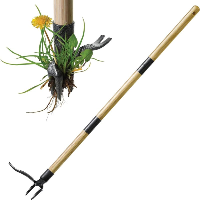 Seeding Square The Weed Gobbler Carbon Steel & Bamboo Stand-Up Weed Puller Tool for Dandelions and Single-Root Weeds – Ergonomic Lawn Weeder for Back-Friendly Weed Removal