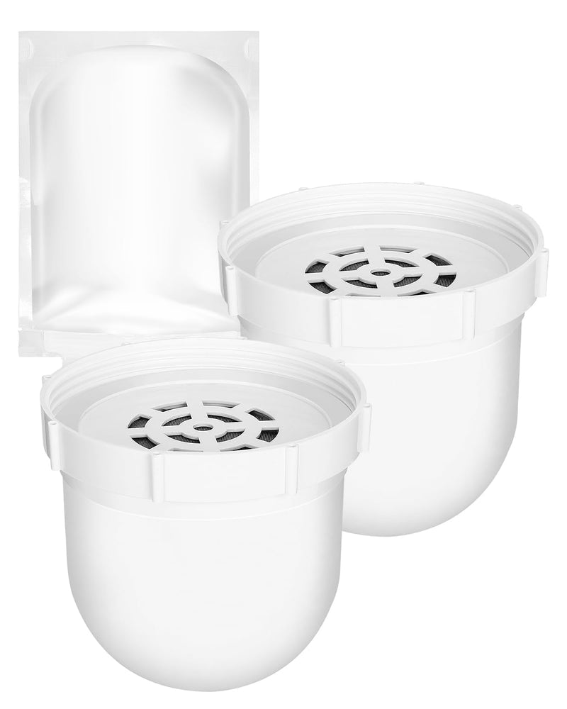 KEEPOW Filtered Replacement Filter Compatible with Clearly Filtered Water Filter Pitcher with Primer Bag, Last Up to 4 Months or 100 Gallons, 2 Pack 2+1 Pack
