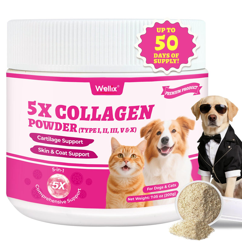 Wellix 7.05oz Natural Collagen Powder for Cats & Dogs - Healthy Skin,Coat,Hip and Joint Supplement for Cat - with MSM,Vitamin C,E,Hyaluronic Acid for Pet Support - Chicken Flavor - NewNest Australia