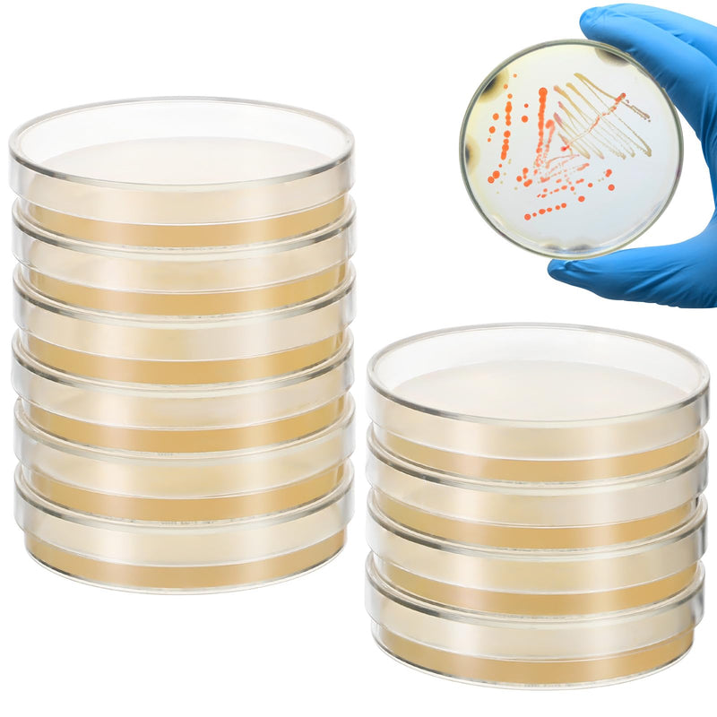 DOITOOL 20 Pcs Prepoured Agar Plates Agar Petri Dishes for Laboratory Science Experiments School Fair Projects