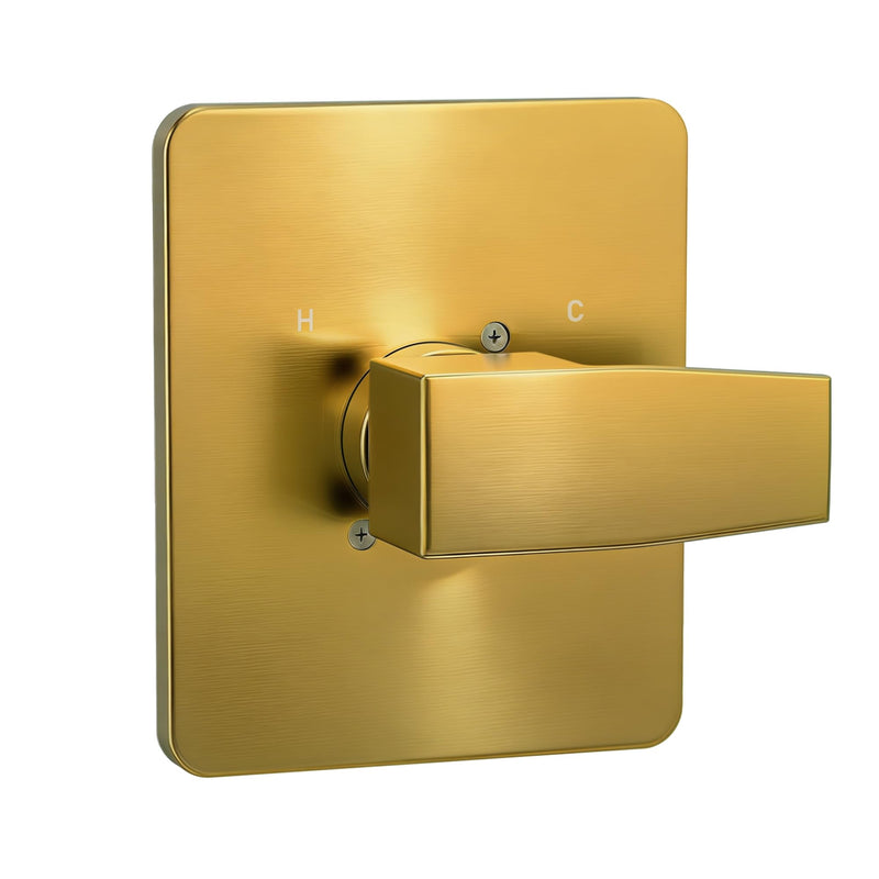 Replacement for Delta 13/14 Series Shower Faucet Set,Shower Handle Set Compatible with RP46074,Fits R10000 Series Valves(Cartridge and Valve Not Included),Brushed Gold Brushed Gold
