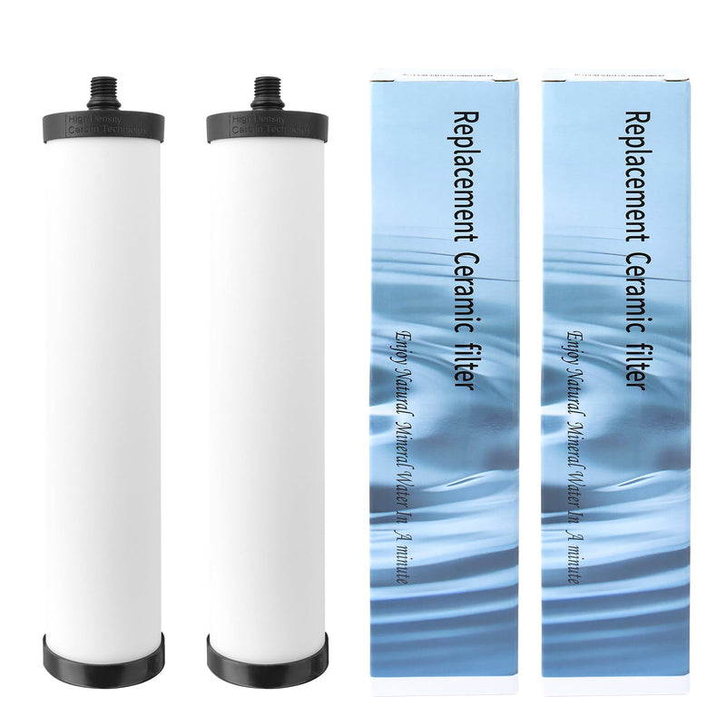 FRC06 Filter Cartridge, Ceramic Water Filter for Franke FRCNSTR Models FRCNSTR100、FRCNSTR-DUO-1、FRCNSTR-DUO-2 Filter Kitchen Sink - 2 PCS