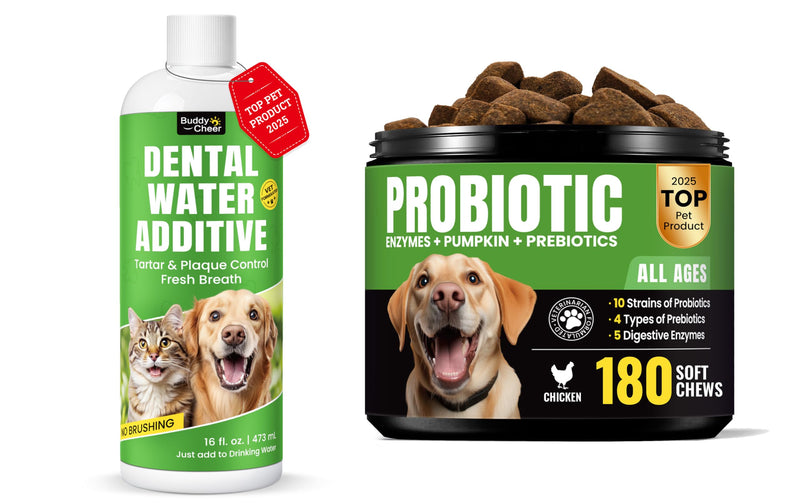 Dog Oral & Digestive Support Bundle – Dental Water Additive with Probiotic Soft Chews for Fresh Breath, Gut Balance & Immune Care - NewNest Australia