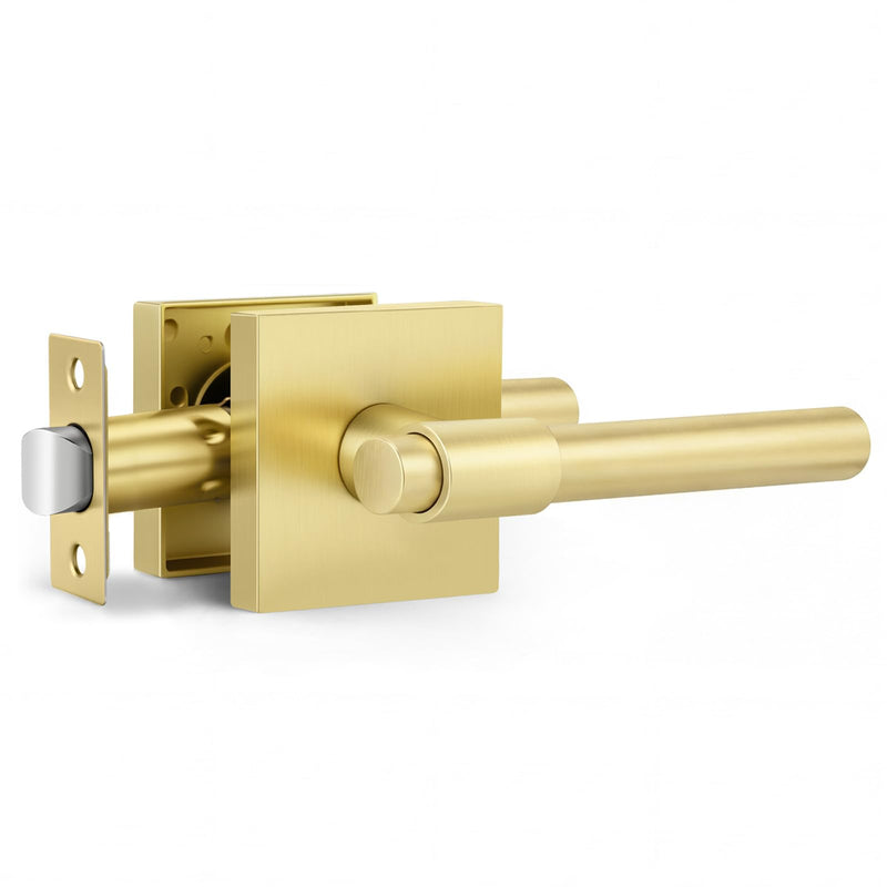 Goldenwarm Gold Closet Door Handles, Zinc Alloy Brushed Gold Door Handles Interior for Closet, Hallways, Heavy Duty Passage Door Handle, Reversible Lever Door Handle 1 Pack