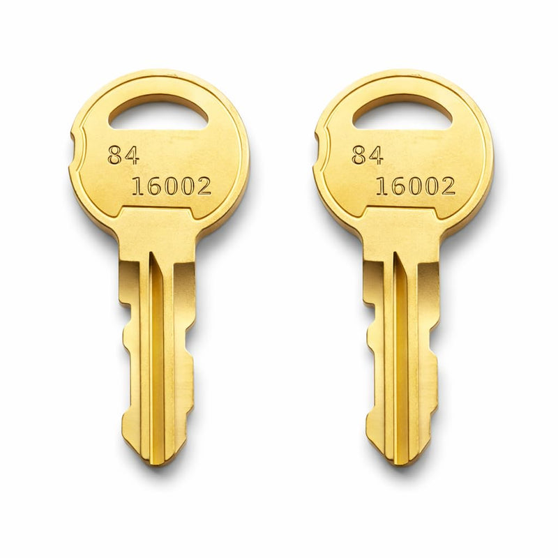 2-Pack 16002 84-16002 Replacement Brass Keys Compatible with Doorking DKS Access Control Equipment, Fits 2020 and Newer Models