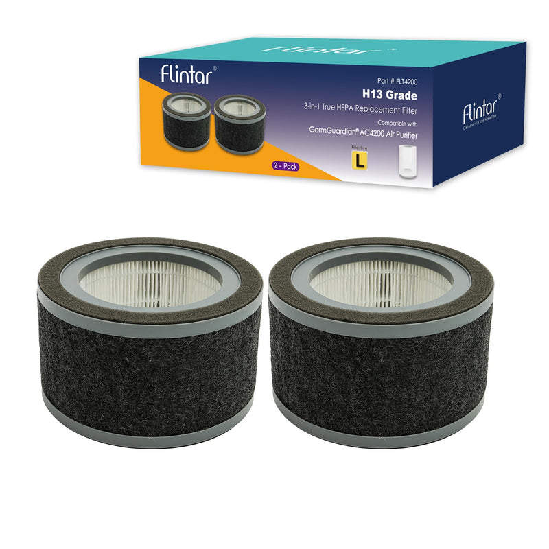 FLT4200 Replacement L Filter, Compatible with GermGuardian Air Purifier Models AC4200, AC4200W and AC4250B, Filter Size L, 2-Pack