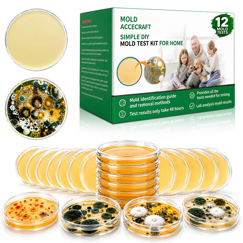 Mold Test Kit for Home | 12 Tests for Air, HVAC & Surfaces | 48-Hour Results with Identification Guide