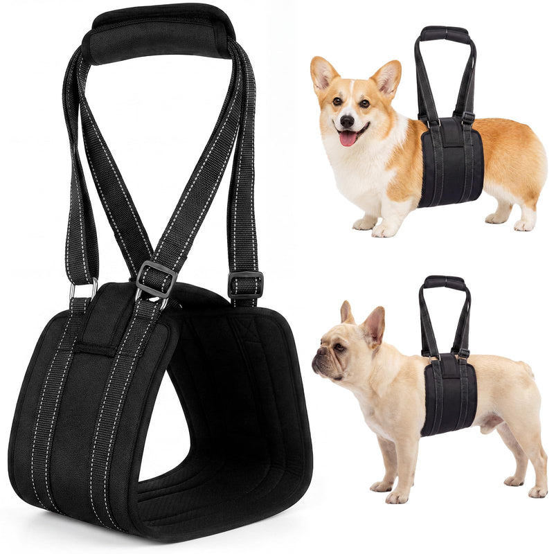 Adjustable Dog Lift Harness Portable Breathable Soft Dog Sling for Back Legs Support Rehab Harness for Summer Weak Rear Legs Senior Injured Disabled After Acl Surgery Pooch(Medium) M