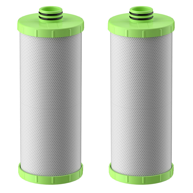 AO-US-200-R Water Filter Replacement Cartridge Compatible with AO Smith Advanced Water Filtration System, 1 Set (2 Counts)