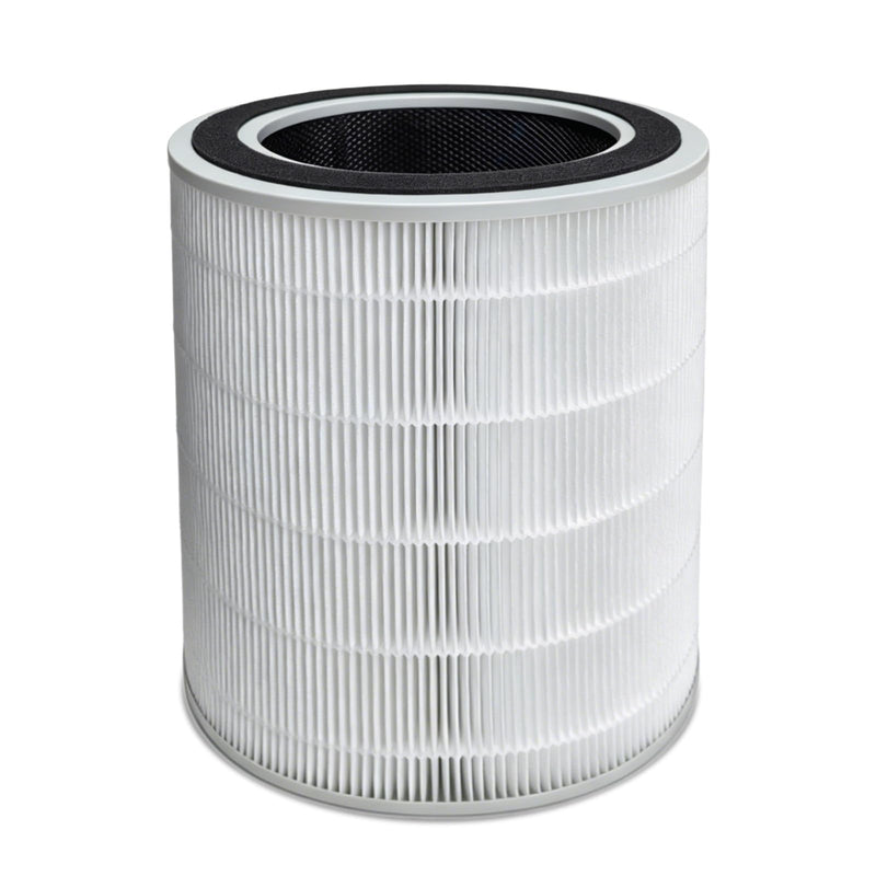 AP10 Replacement Filter