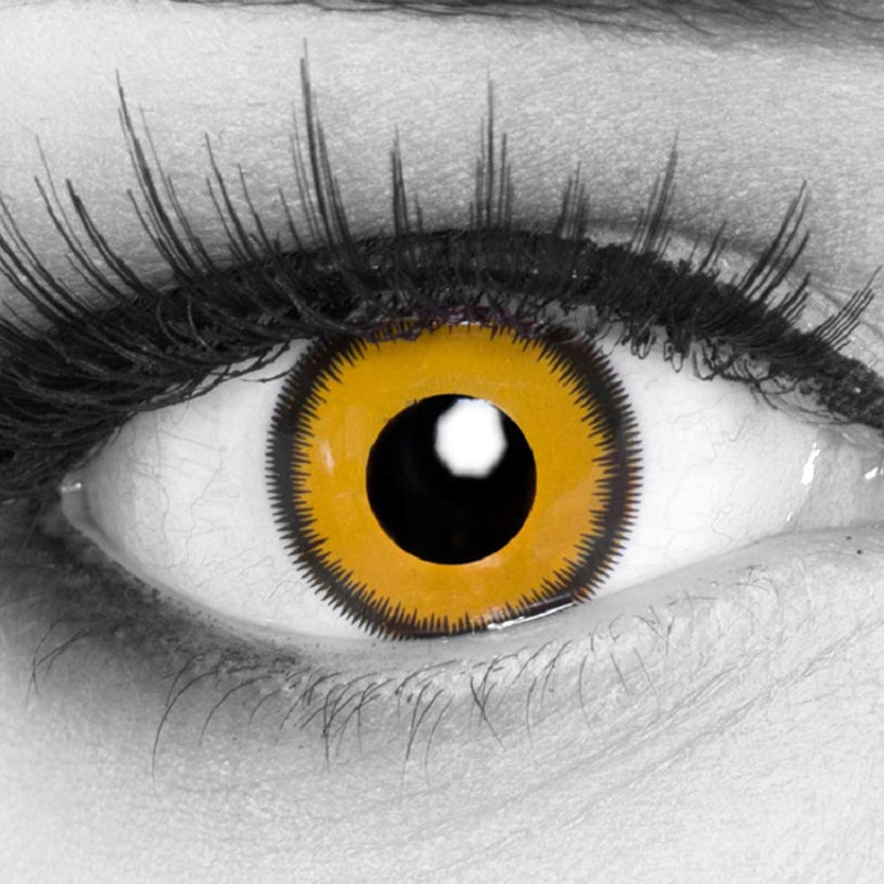 Funnylens 1 pair of colored yellow black Crazy Fun annual contact lenses Lunatic Sun with rim and free lens case. Perfect for carnival, carnival and carnival | Without power 0.0 diopters 8.6 millimeters 14.00 millimeters 2.0 - NewNest Australia