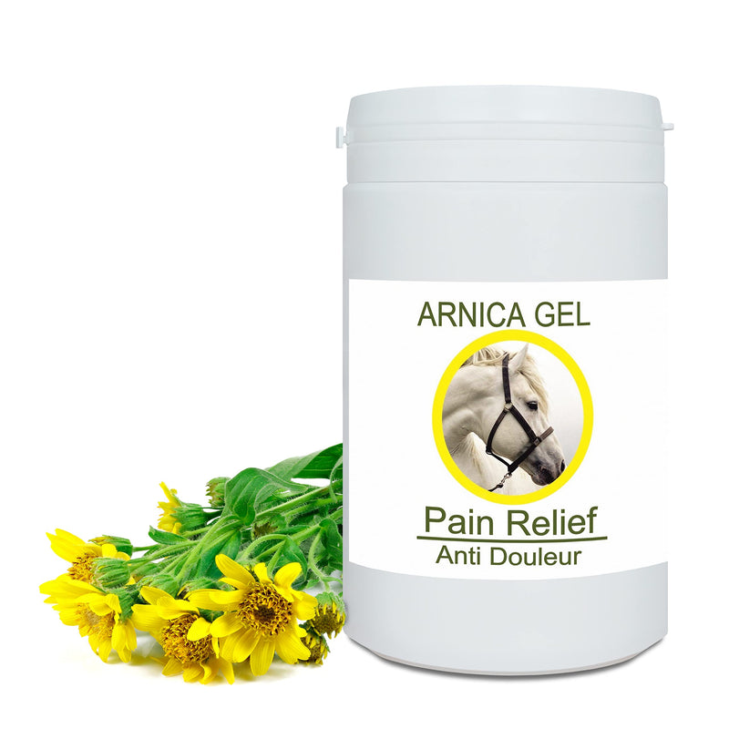 Bleu & Marine Bretania - Arnica Forte Gel Concentrate 90% From Organic Farming | Massage Gel For Muscles And Joints | Moisturizing Cream For The Skin | Fast Absorption, 1Kg - NewNest Australia