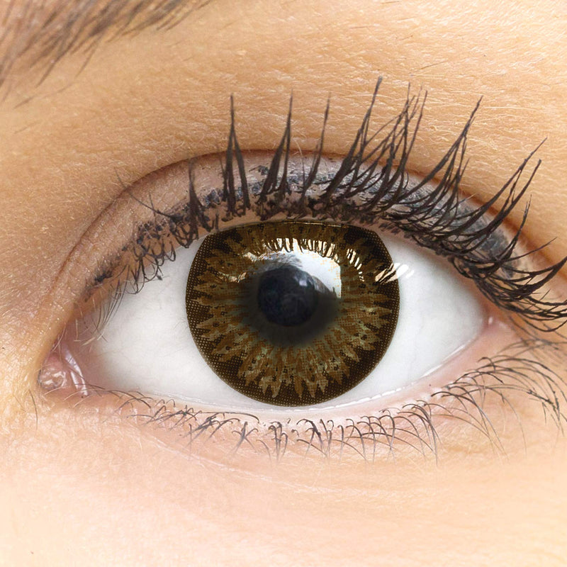 Dark brown colored contact lenses Choco Dark brown Very strong opaque SILICONE COMFORT NEW from GLAMLENS + container - 1 pair (2 pieces) - DIA 14.00 - without strength 0.00 diopters 0.0 diopters 8.6 millimeters 14.50 millimeters 2.0 - NewNest Australia