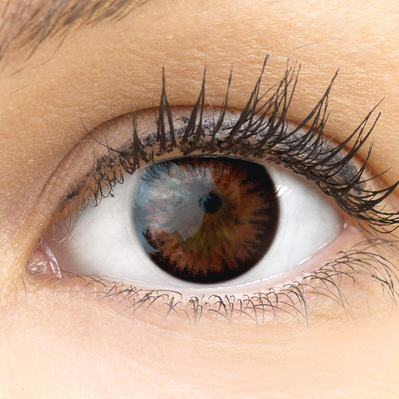 Very opaque and natural brown contact lenses SILICONE COMFORT NEW in color “Siena Choco” brown + container from GLAMLENS - 1 pair (2 pieces) - DIA 14.50 - without strength 0.00 diopters 0.0 diopters 8.8 millimeters 14.50 millimeters 2.0 - NewNest Australia