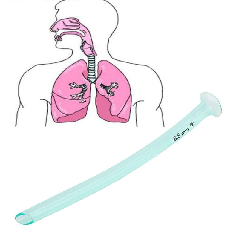 Spiral Tube, Spiral Tube, 7, Wendl Tube Nose, Wendl Tube, Nasal Airway Kit, Canulas Nasofaringeas, Nasopharyngeal Airway Disposable Nasopharyngeal Channel Nasopharyngeal Airway Health Care Tool - NewNest Australia