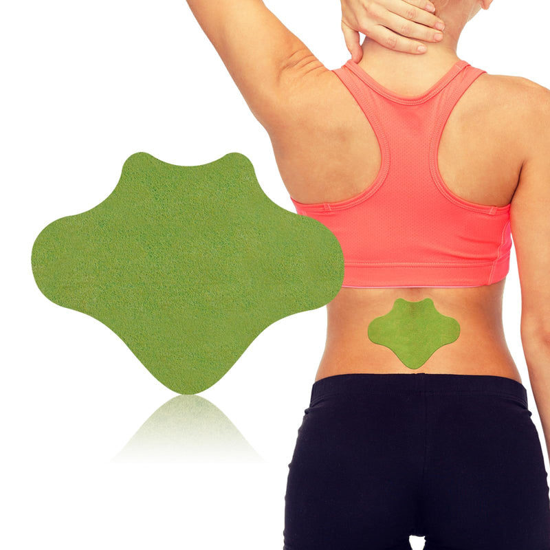 iShanCare Back Pain Relief Plasters, 8 Hour Deep Relief for Knees, Back, Neck, Shoulders and Sore Muscles with Naturally Warming Herbal Plasters, Pack of 24 Back - NewNest Australia