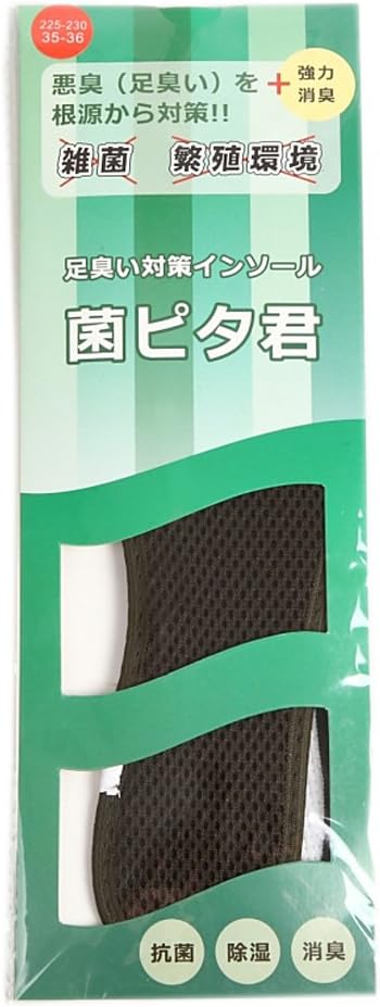 Shoe Deodorizing Insole, Foot Odor Prevention, Antibacterial Insole, Bacterial Pita-kun, 1 Pair (Pack of 2) (24.5 - 25 cm) - NewNest Australia