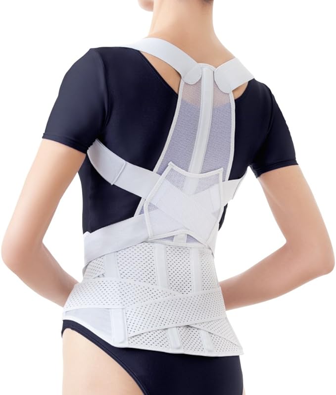 Alphax Posture Supporter, Made in Japan, Posture Belt Corrects From Doctor's Waist, L-LL - NewNest Australia