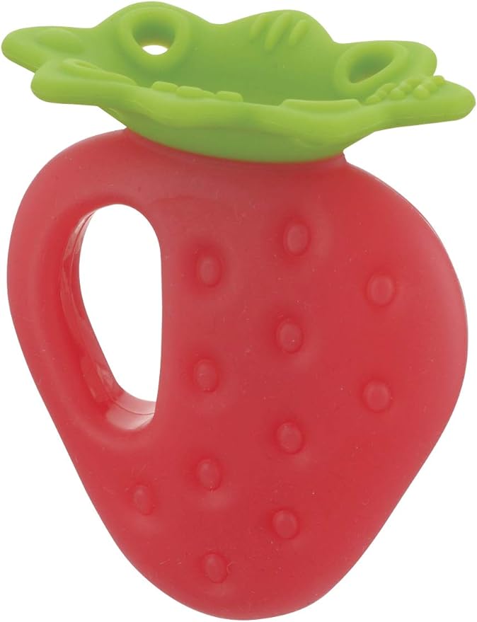 Richell Toothy Strawberry (Case Included) - NewNest Australia