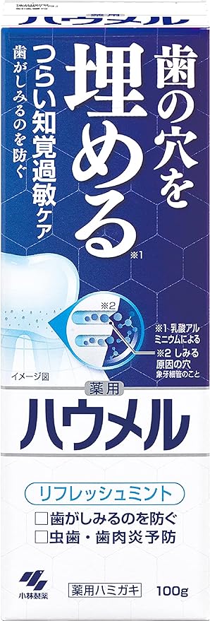 Haumel Hypersensitivity Care Paste, Medicated Toothpaste, 3.5 oz (100 g), Filling Teeth Holes, Kobayashi Pharmaceutical (Quasi-Drug) 1 Piece - NewNest Australia