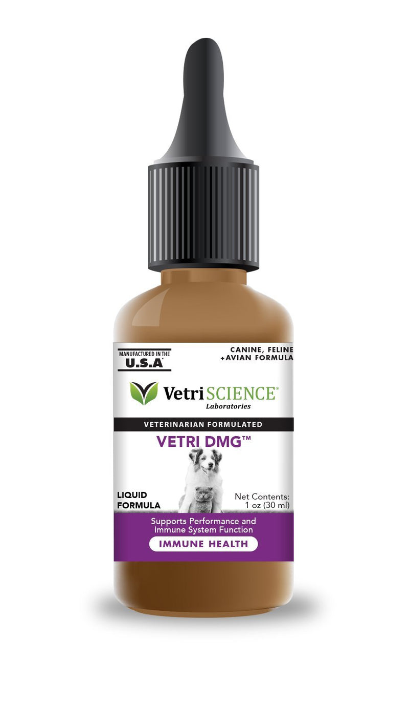 Vetri-DMG Liquid 1 oz - PawsPlanet Australia