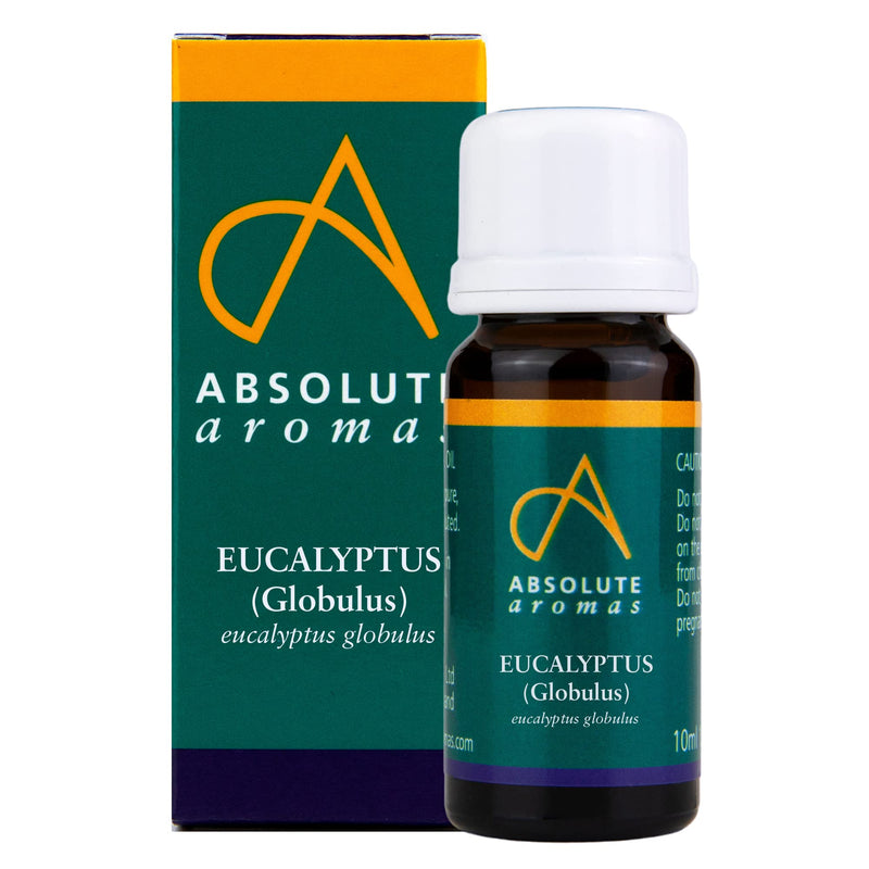 Absolute Aromas Eucalyptus Essential Oil 10ml - 100% Pure, Natural and Undiluted - an Antiseptic and Antibacterial Oil to Soothe and Clear - for use in Diffusers and Aromatherapy 10 ml (Pack of 1) - NewNest Australia