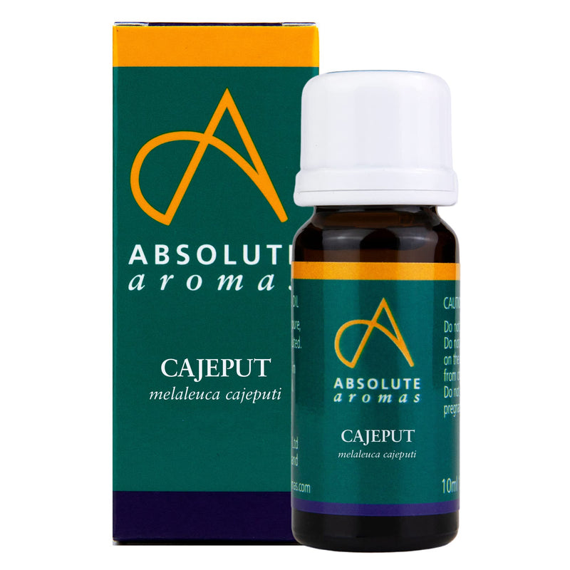 Absolute Aromas Cajeput Essential Oil Pure, Natural, Undiluted, Vegan and Cruelty-Free, for use in Diffusers and Aromatherapy Blends, 10 Millilitre 10 ml (Pack of 1) - NewNest Australia