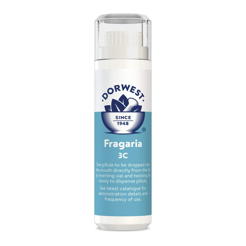 DORWEST HERBS Fragaria for Dogs and Cats, 4 g - PawsPlanet Australia