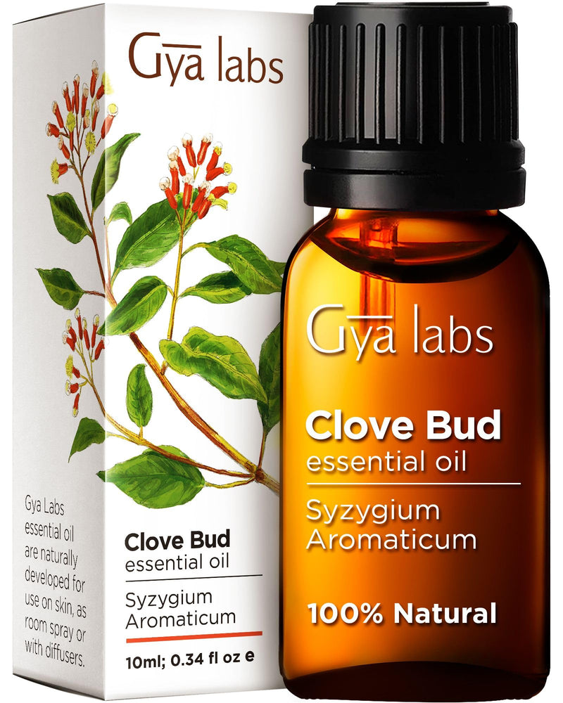 Gya Labs Clove Oil for Oral Care. Natural Clove Essential Oil for Oral discomfort. - Clove Oil Essential Oil - Clove Oil for Hair, Skin, Teeth, and Gums. (10 ml) 10 ml (Pack of 1) - NewNest Australia