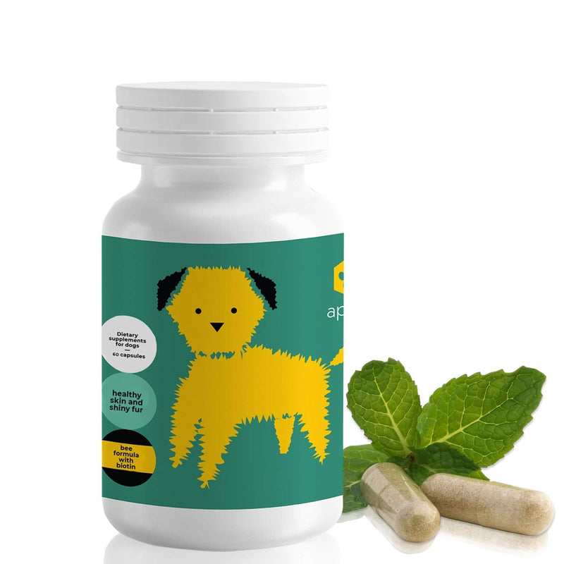 ApiPet Skin - Bee Pollen, Propolis & Biotin Supplement for Dogs - Supports Healthy Skin & Soft Shiny Coats - Itchy Allergy Relief - Vitamin Rich Pet Formula for Immune System Support - 60 Capsules - PawsPlanet Australia