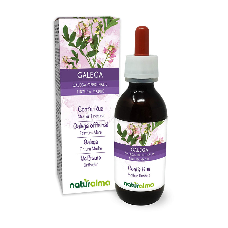 Goat's rue (Galega officinalis) herb with Flowers Alcohol-Free Mother Tincture Naturalma | Liquid Extract Drops 120 ml | Food Supplement | Vegan 120 ml (Pack of 1) - NewNest Australia