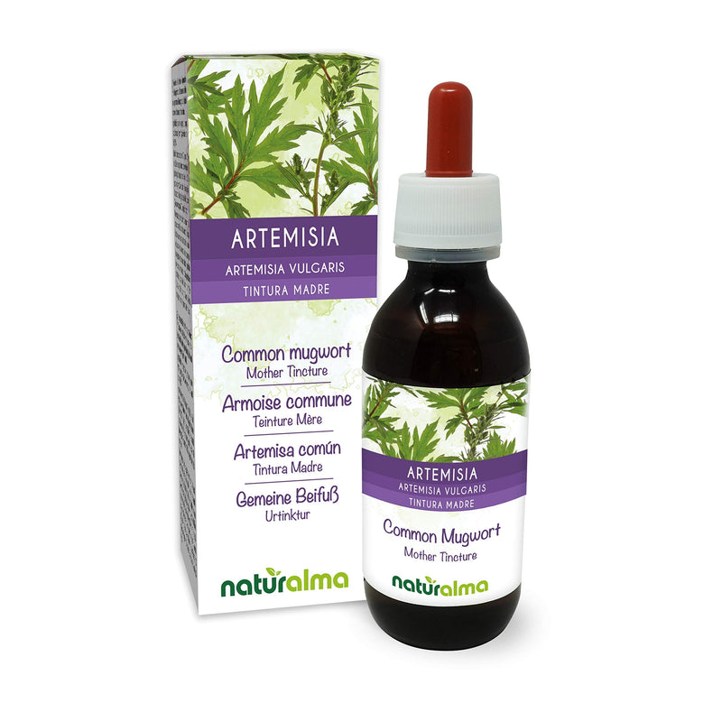 Common Mugwort (Artemisia vulgaris) herb with Flowers Alcohol-Free Mother Tincture Naturalma | Liquid Extract Drops 120 ml | Food Supplement | Vegan 120 ml (Pack of 1) - NewNest Australia