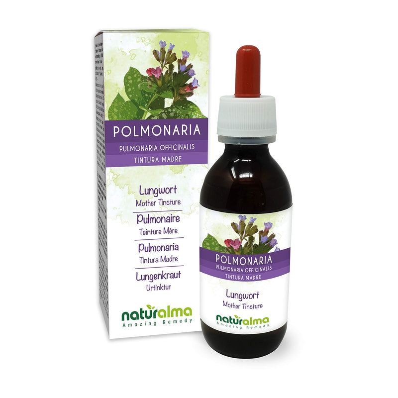Lungwort (Pulmonaria officinalis) herb with Flowers Alcohol-Free Mother Tincture Naturalma | Liquid Extract Drops 120 ml | Food Supplement | Vegan 120 ml (Pack of 1) - NewNest Australia