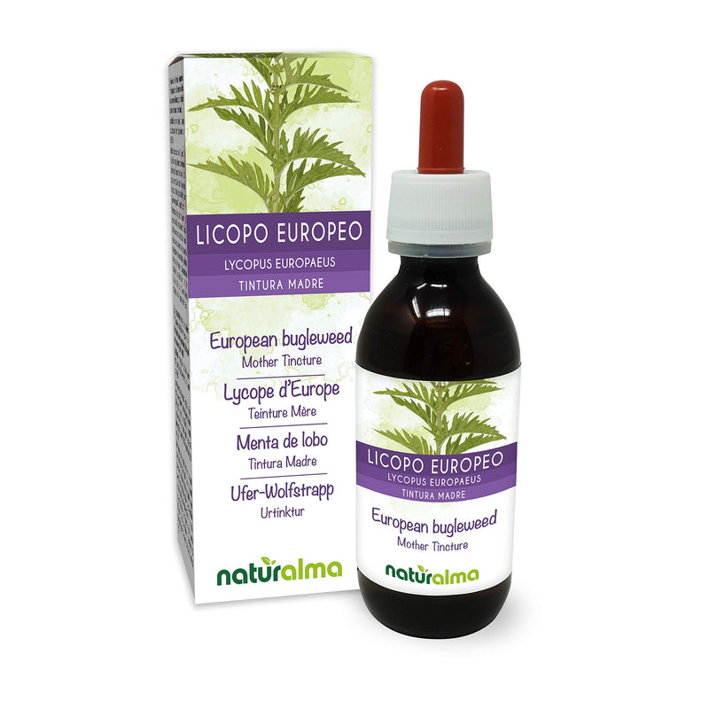 European Bugleweed or Gypsywort (Lycopus europaeus) herb Alcohol-Free Mother Tincture Naturalma | Liquid Extract Drops 120 ml | Food Supplement | Vegan 120 ml (Pack of 1) - NewNest Australia