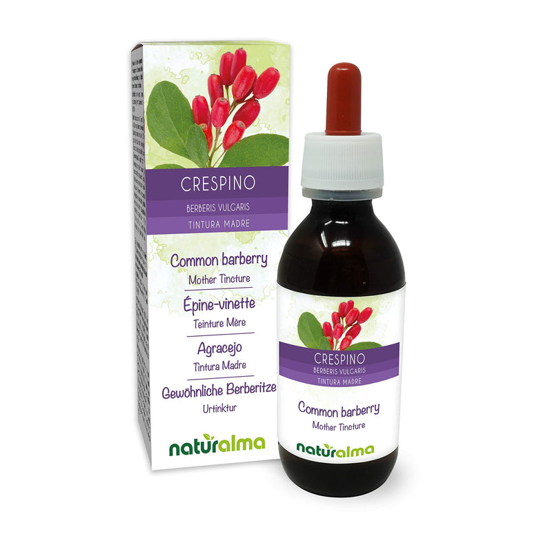 Common Barberry or European Barberry (Berberis vulgaris) Root bark Alcohol-Free Mother Tincture Naturalma | Liquid Extract Drops 120 ml | Food Supplement | Vegan 120 ml (Pack of 1) - NewNest Australia
