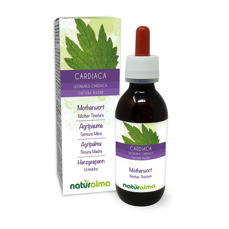 Motherwort (Leonurus cardiaca) herb with Flowers Alcohol-Free Mother Tincture Naturalma | Liquid Extract Drops 120 ml | Food Supplement | Vegan 120 ml (Pack of 1) - NewNest Australia