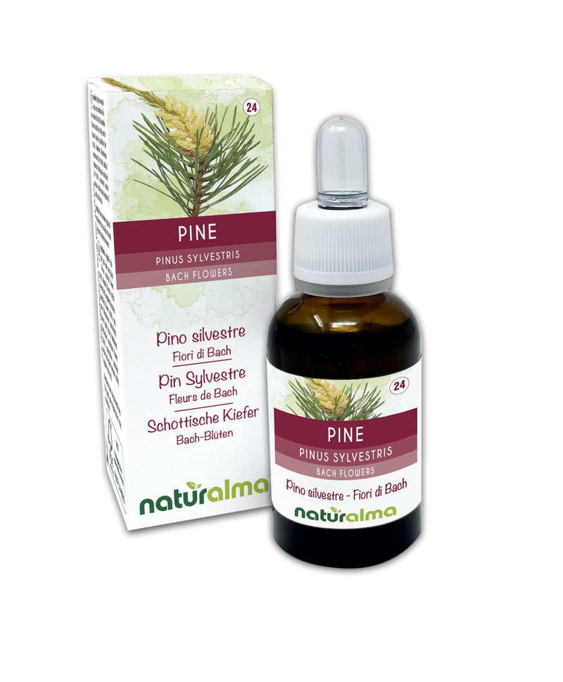 Pine (Pinus sylvestris) Naturalma Bach Flowers | No. 24 | Drops 30 ml | Alcohol-Free Liquid Extract | Flower essences | Vegan and Without Alcohol - NewNest Australia