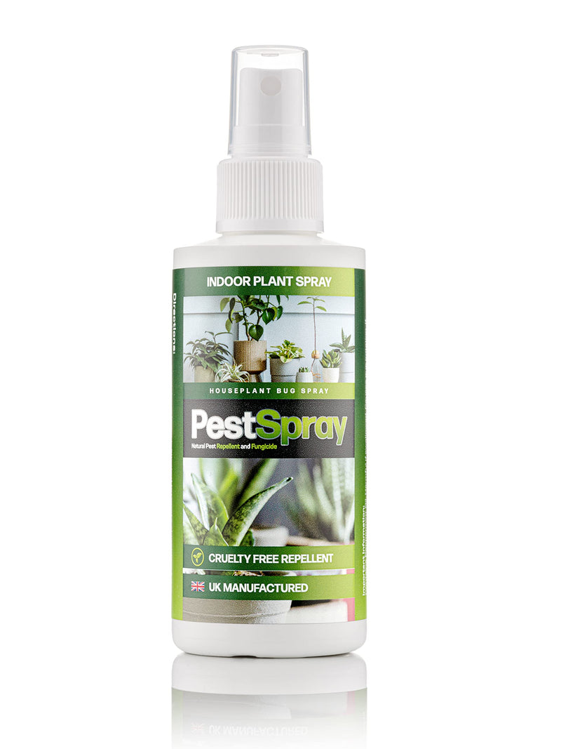 EFA International Houseplant Bug Spray, PestSpray, Natural Pest Repellent & Fungicide, Plant Spray, Bug Control Repellent, Peppermint Oil Spray, Indoor Plants, 150ml Spray Bottle - NewNest Australia