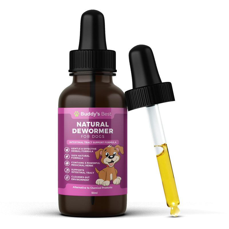 Natural Dewormer for Dogs | 100% Natural | Contains 3 Medicinal Herbs | Supports Intestinal & Gut Health | Gentle & Effective Formula - PawsPlanet Australia