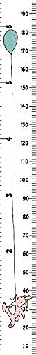 Miaro Kids Growth Chart, Wood Frame Fabric Canvas Height Measurement Ruler from Baby to Adult for Child's Room Decoration 7.9 x 79in (7.9 x 79in, Balloon Rabbit) - NewNest Australia