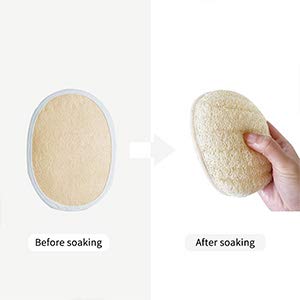 Ithyes Shower Brush with Soft and Stiff Bristles Body Brush Dry Brushing Back Scrubber Bath Brush Wood Long Handle Natural Bristles exfoliating Massage Double-sided Brush Head for Wet/Dry,Loofah Pad - NewNest Australia