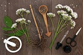 Premium Valerian Root Powder | 16oz 1lb Pound | The Bloomin Herb Shoppe | Valeriana Officinalis Fresh Clean herb Aromatic - NewNest Australia