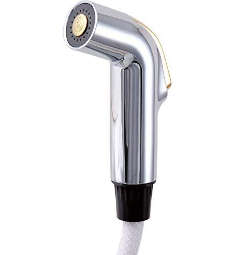 Delta Faucet RP39345 Spray and Hose Assembly, Chrome - NewNest Australia