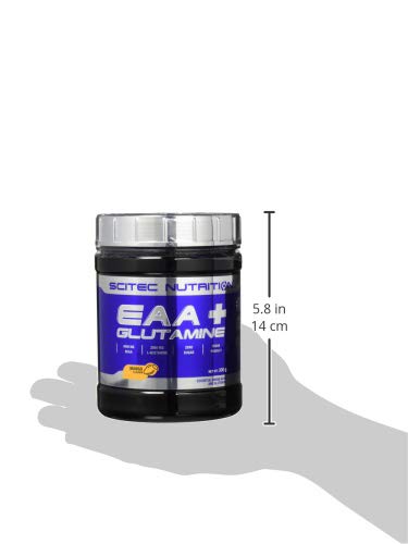 Scitec Nutrition EAA + Glutamine (glutamine amino acid complex & essential aminos), Mango Flavor 300g 300g (pack of 1) - NewNest Australia