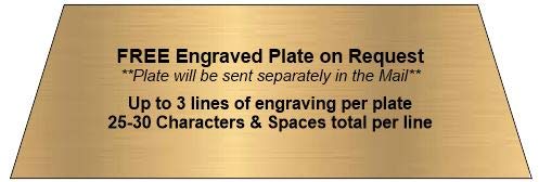Decade Awards Chili Pot Color Resin Trophy, Small - Chili Cook-Off Award - 4 Inch Tall - Engraved Plate on Request - NewNest Australia