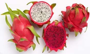 Herbal Magic 100% Pure & Natural Pink Pitaya Powder| Dragon Fruit Powder |Natural Slow Dried |Pink Vegan | Smoothie |Superfood |No Added Sugar or Gluten-100g 100 g (Pack of 1) - NewNest Australia